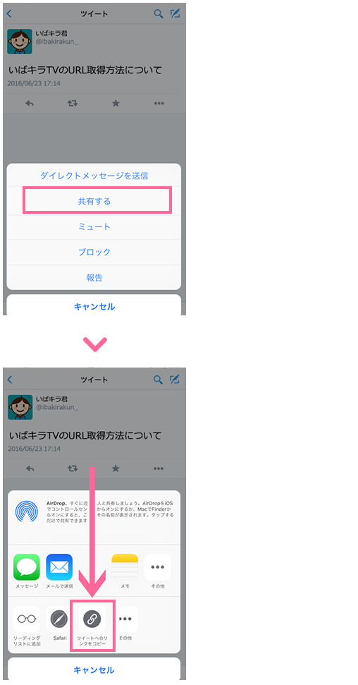 Twitter Instagramのurl取得方法について いばキラtv